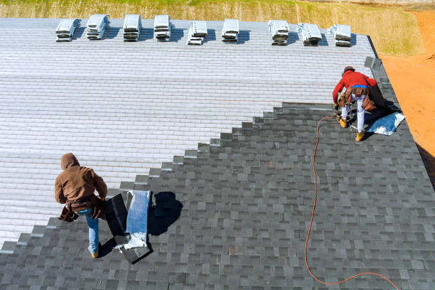 Best Asphalt Shingles Roofing  in Marion, WI